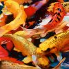 'KOI POND'