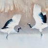 'TSURU BIRDS'